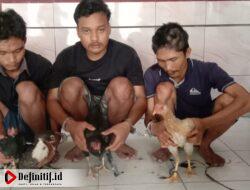 Polsek Merbau Mataram Amankan Tiga Pelaku Curat