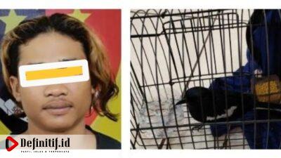 Gara-gara Burung, Warga Serdang Tanjung Bintang Diamankan Polisi