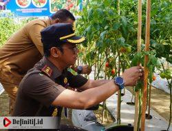 Kejari Kabupaten Gorontalo Dampingi Petani Wujudkan Kemandirian Pangan