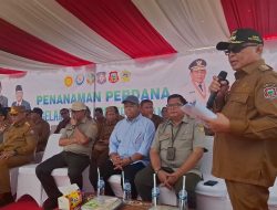 Pemkab Gorontalo Mulai Tanam Komoditas Jelang Penas KTNA XVII 2026, Siapkan Showcase Farming