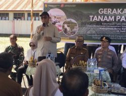 Torehan Positif Pertanian Daerah, Produktivitas Padi Bone Bolango Sukses Lampaui Standar Nasional