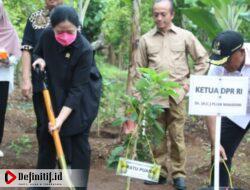 Kunjungi Lampung Selatan, Ketua DPR RI Puan Maharani Tanam Pohon Alpukat Hingga Panen Madu Lebah Trigona Sp