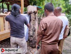 Asyik, Wisata Kebun Lebah Simpur Desa Kecapi Bisa Panen Madu Trigona Langsung Dari Sarang Lebah