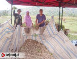 Sebelum Memasuki MT1 2022/2023, Pemdes Bontonyeleng Kembali Anggarkan Pengadaan Bibit Kacang Tanah