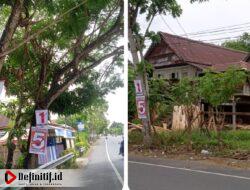 Jelang Pilkades Serentak 2022 di Bulukumba, Pohon Pelindung Dipenuhi Tancapan Paku Alat Peraga Kampanye Cakedes
