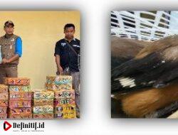 KSKP Bakauheni Gagalkan Penyelundupan Ratusan Burung Dilindungi