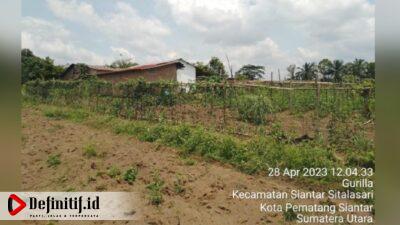 PTPN III Komitmen Menjaga Kondusifitas Areal HGU di Siantar