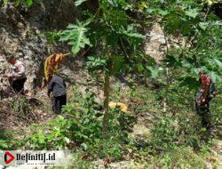 Ancaman Kerusakan Lingkungan di Hutan Langgula Akibat Rencana Tambang Tembaga