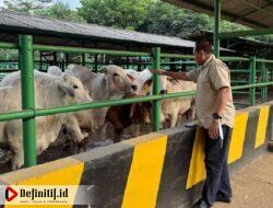 Gubernur Terpilih Gorontalo Kunjungi Peternakan Sapi Potong di Subang