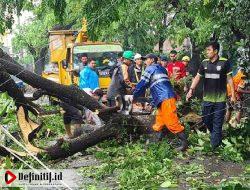 Cuaca Hujan, Disertai Angin Kencang, Zulfikar Usira Beri Warning Keras ke DLH