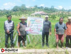 Petani di Gorontalo Utara Gelar “Demspray” Bersama Maxxim Agri untuk Tingkatkan Hasil Produksi Padi