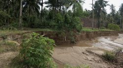 Terancam Amblas ke Sungai, Warga Desa Bakti Keluhkan Lambannya Respons BWS Sulawesi II