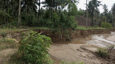 Terancam Amblas ke Sungai, Warga Desa Bakti Keluhkan Lambannya Respons BWS Sulawesi II