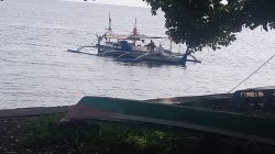 Kelangkaan Tuna di Sangihe, Diduga Karena Permainan Harga Pelaku Ilegal Fishing