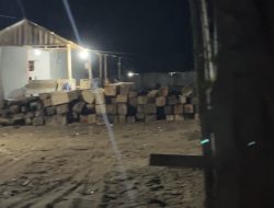 Dugaan Kayu Ilegal Logging Mengalir ke Pabrik Meubel di Tolinggula, Adakah Keterlibatan Oknum Aparat?