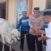 Qurban Presisi, Polres Tahuna Sembelih Empat Ekor Sapi dan Seekor Kambing