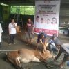 Wakili PD TIDAR Sulut, Haji Rifandi Andika Malibu Berbagi Kurban di Tahuna