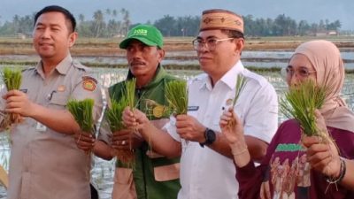Bone Bolango Bidik Jadi Sentra Padi Organik Baru di Gorontalo