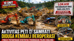 Pasca Penertiban, 10 Ekskavator Diduga Kembali Beroperasi di Sambati, Di Mana Ketegasan Aparat?