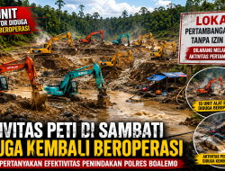 Pasca Penertiban, 10 Ekskavator Diduga Kembali Beroperasi di Sambati, Di Mana Ketegasan Aparat?