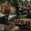KPH III dan Polsek Patilanggio Cek Dugaan Penerbangan Kayu Ilegal di Balayo, Hasilnya Nihil