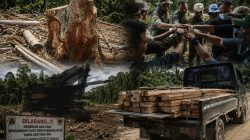 KPH III dan Polsek Patilanggio Cek Dugaan Penebangan Kayu Ilegal di Balayo, Hasilnya Nihil