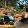 KPH III dan Polsek Patilanggio Turun Tangan, Dugaan Illegal Logging di Balayo Segera Diselidiki
