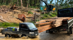KPH III dan Polsek Patilanggio Turun Tangan, Dugaan Illegal Logging di Balayo Segera Diselidiki