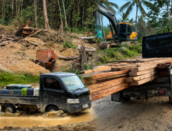 KPH III dan Polsek Patilanggio Turun Tangan, Dugaan Illegal Logging di Balayo Segera Diselidiki