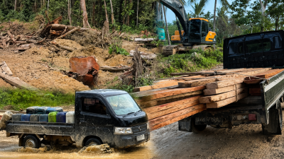 KPH III dan Polsek Patilanggio Turun Tangan, Dugaan Illegal Logging di Balayo Segera Diselidiki