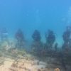 Dari Bawah Laut Botutonuo, Merah Putih Berkibar, Terumbu Karang Direhabilitasi