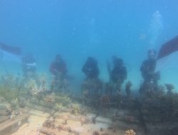 Dari Bawah Laut Botutonuo, Merah Putih Berkibar, Terumbu Karang Direhabilitasi