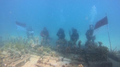 Dari Bawah Laut Botutonuo, Merah Putih Berkibar, Terumbu Karang Direhabilitasi
