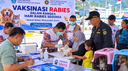 Dinas Pertanian Sangihe Bersama Barantin Gelar Vaksinasi Rabies Gratis